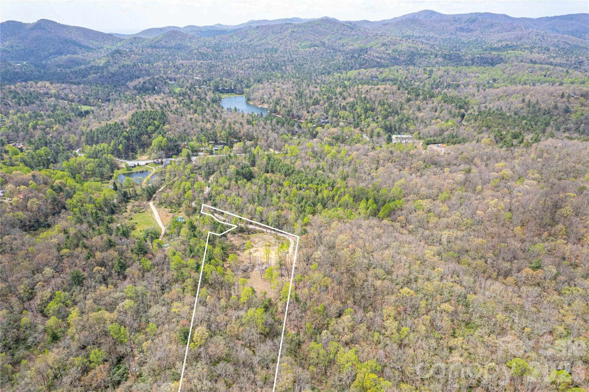 000 Rosman Highway - Photo 9