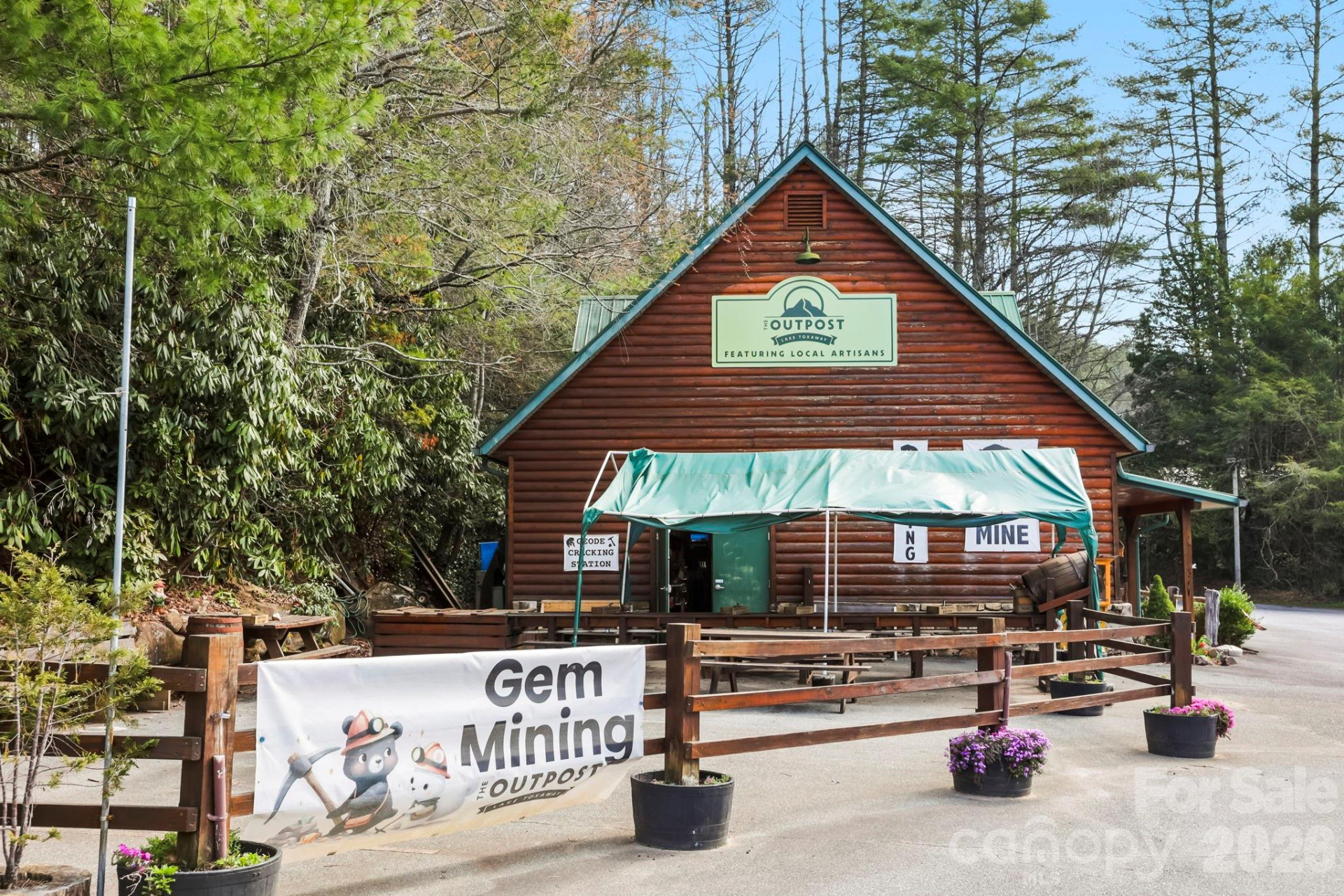 10932 Rosman Highway - Photo 2