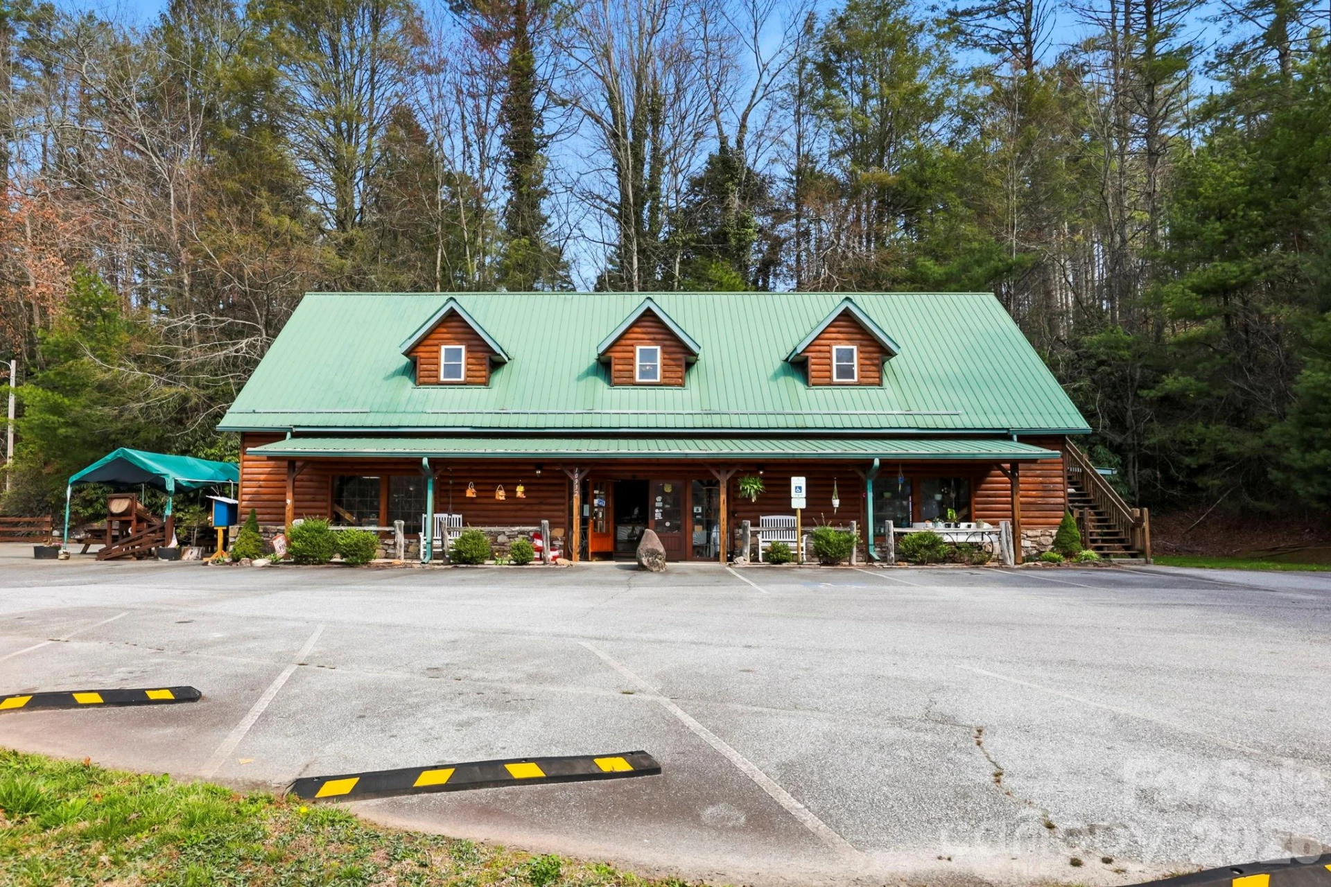 10932 Rosman Highway - Photo 4