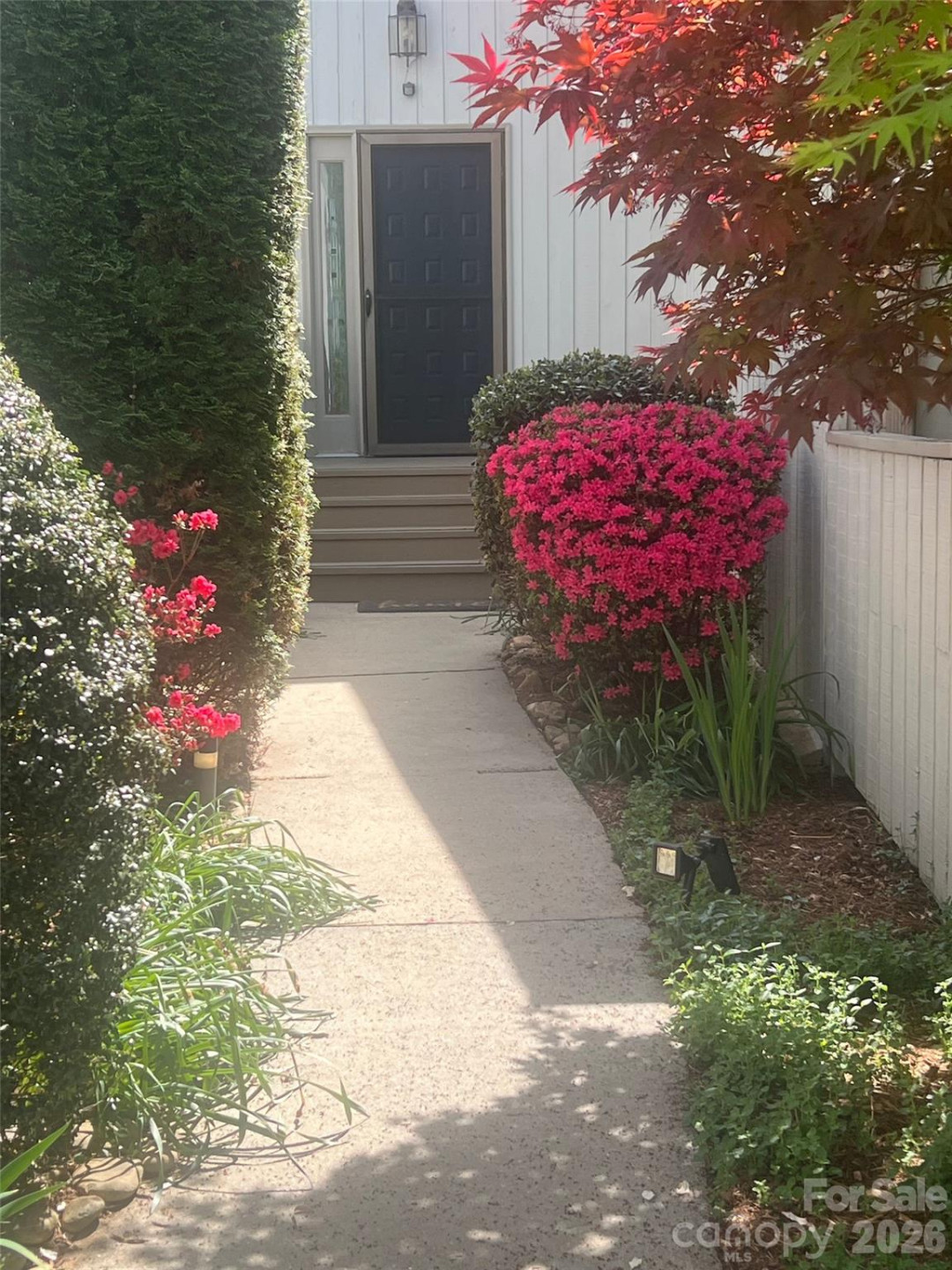 141 Deerlake Drive - Photo 3