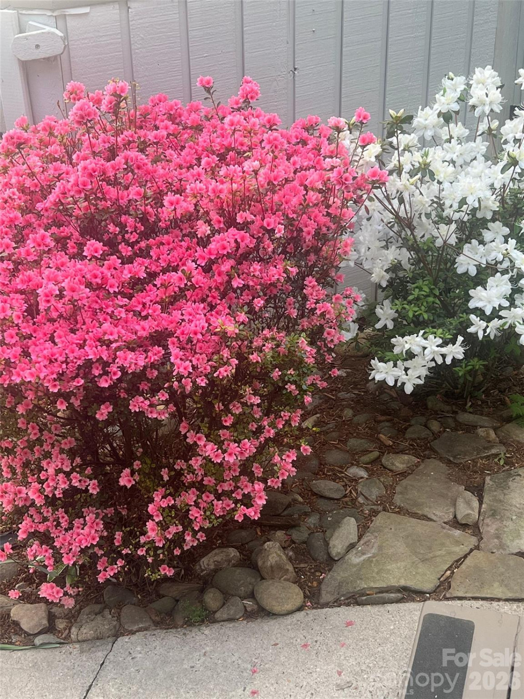 141 Deerlake Drive - Photo 4