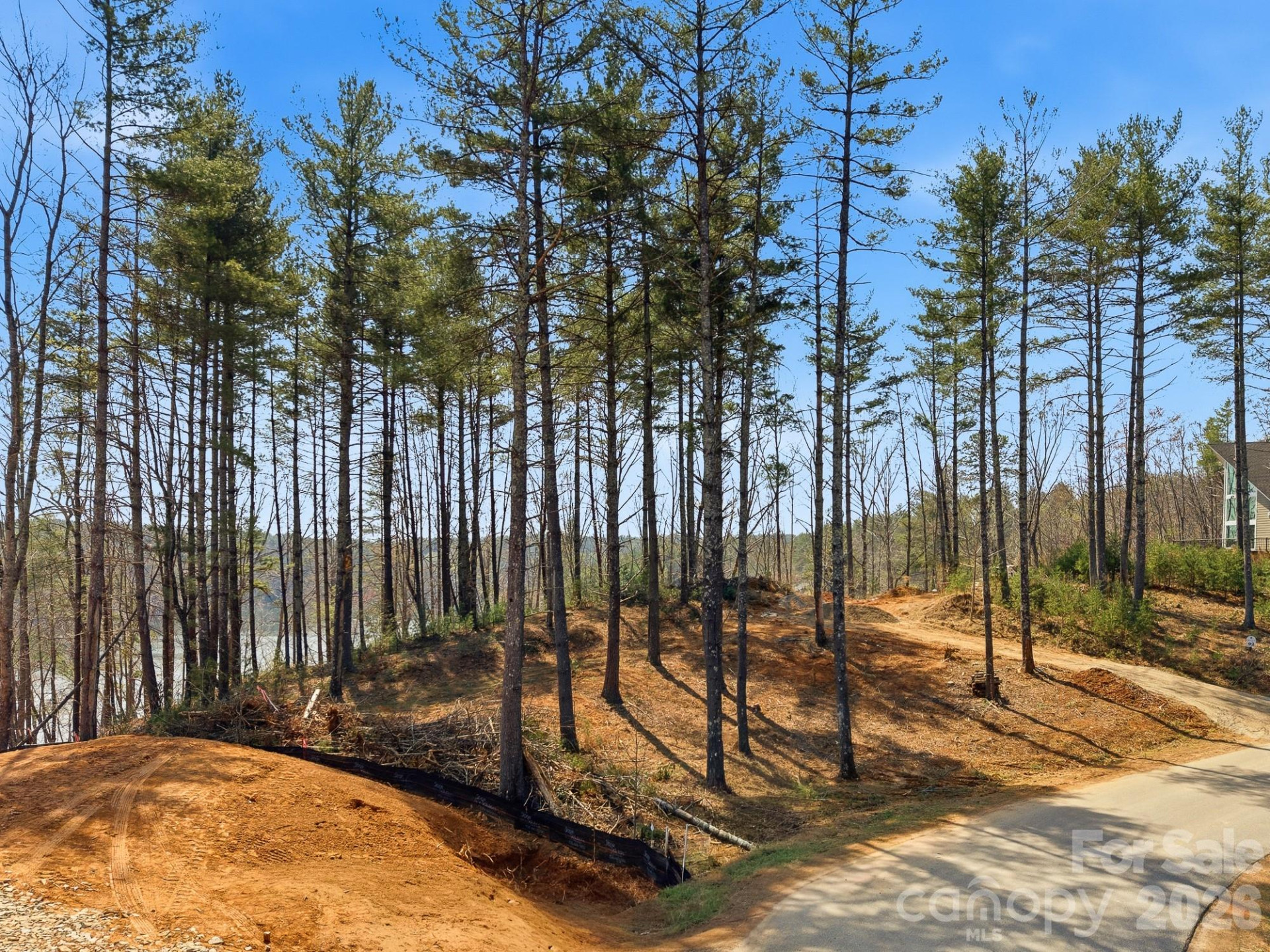 291 Crest View Street - Photo 2