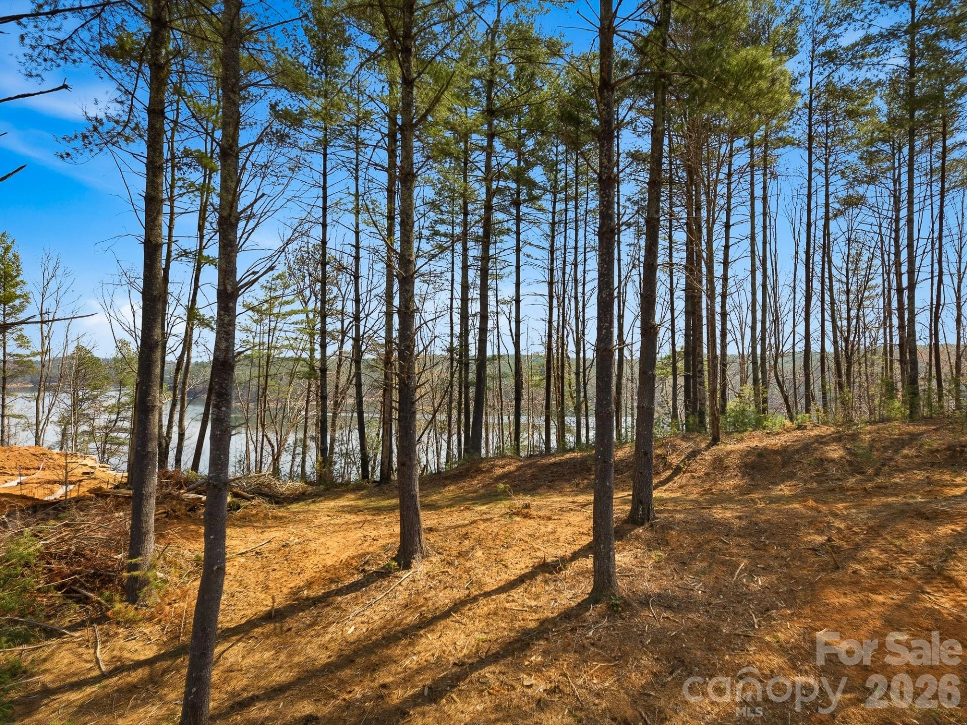 291 Crest View Street - Photo 3