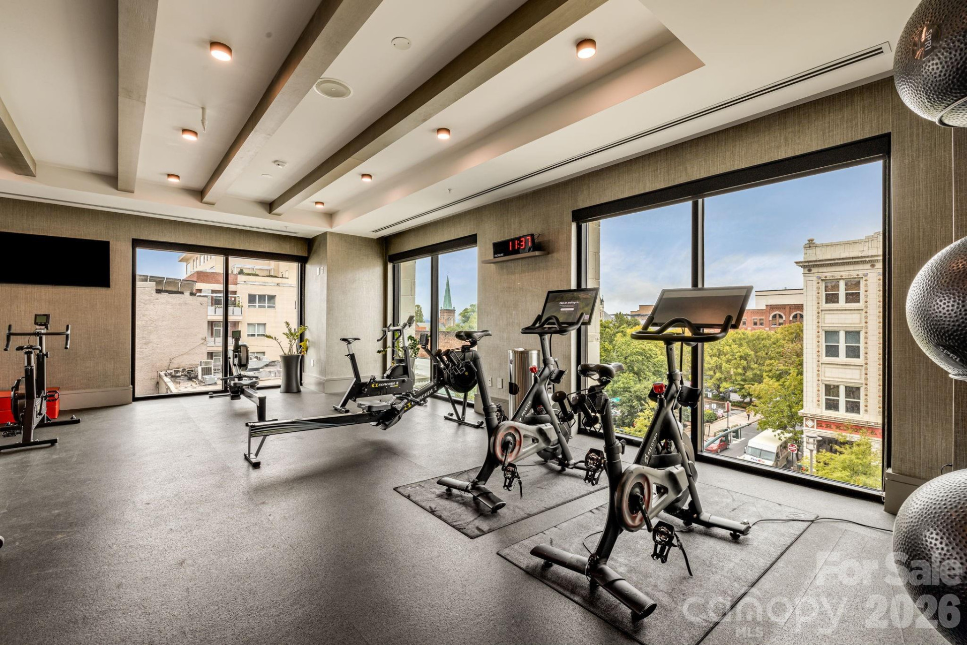 7 Patton Avenue #1005 - Photo 26