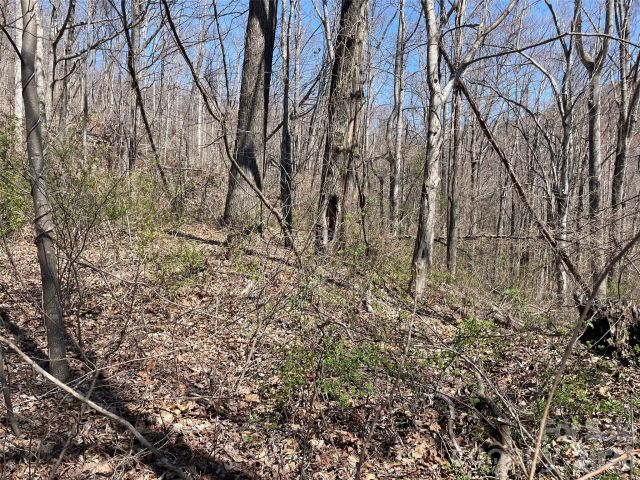 182 Old Mountain Pass, Hendersonville, NC, 28792