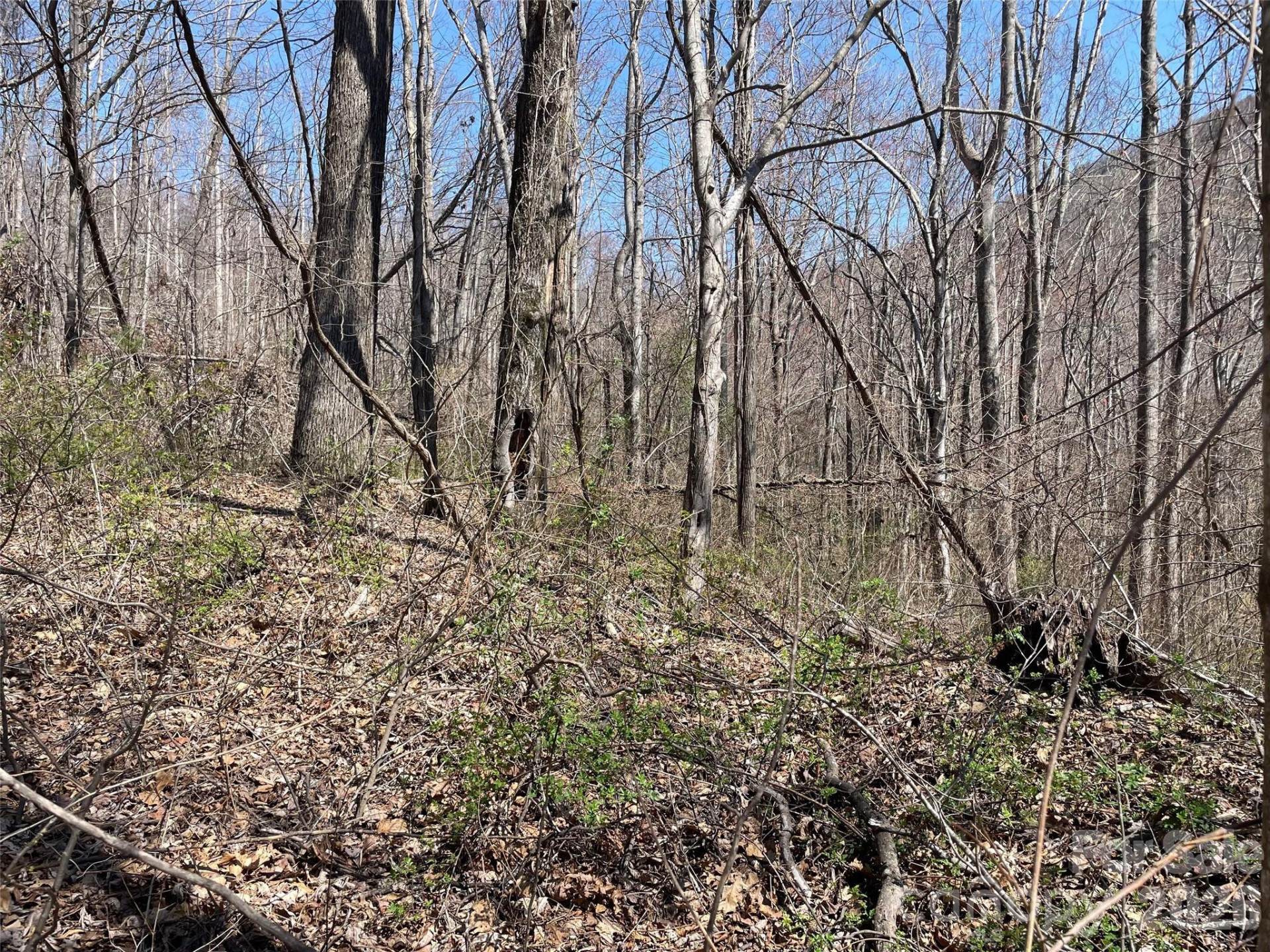 182 Old Mountain Pass - Photo 2