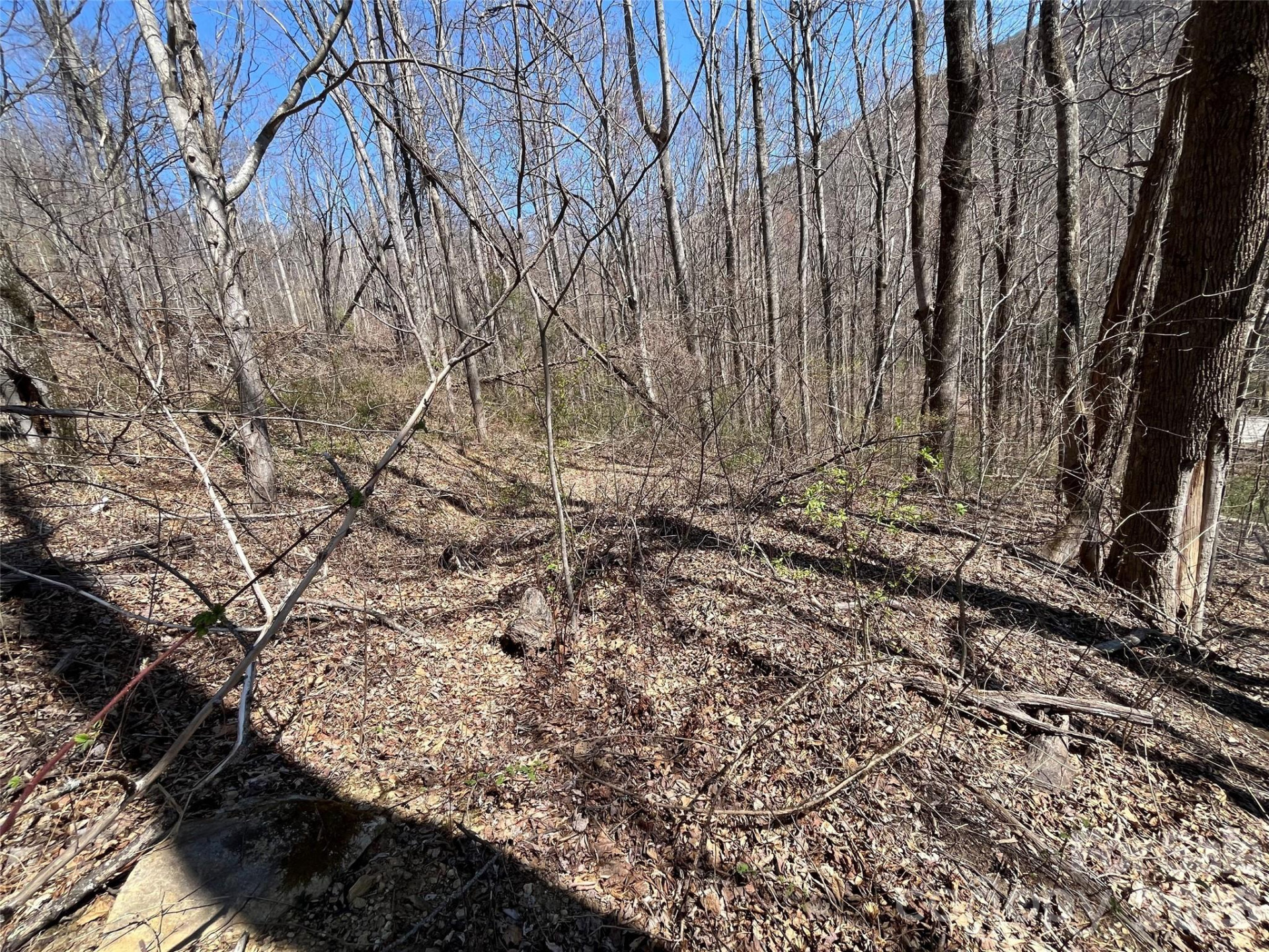 182 Old Mountain Pass - Photo 3