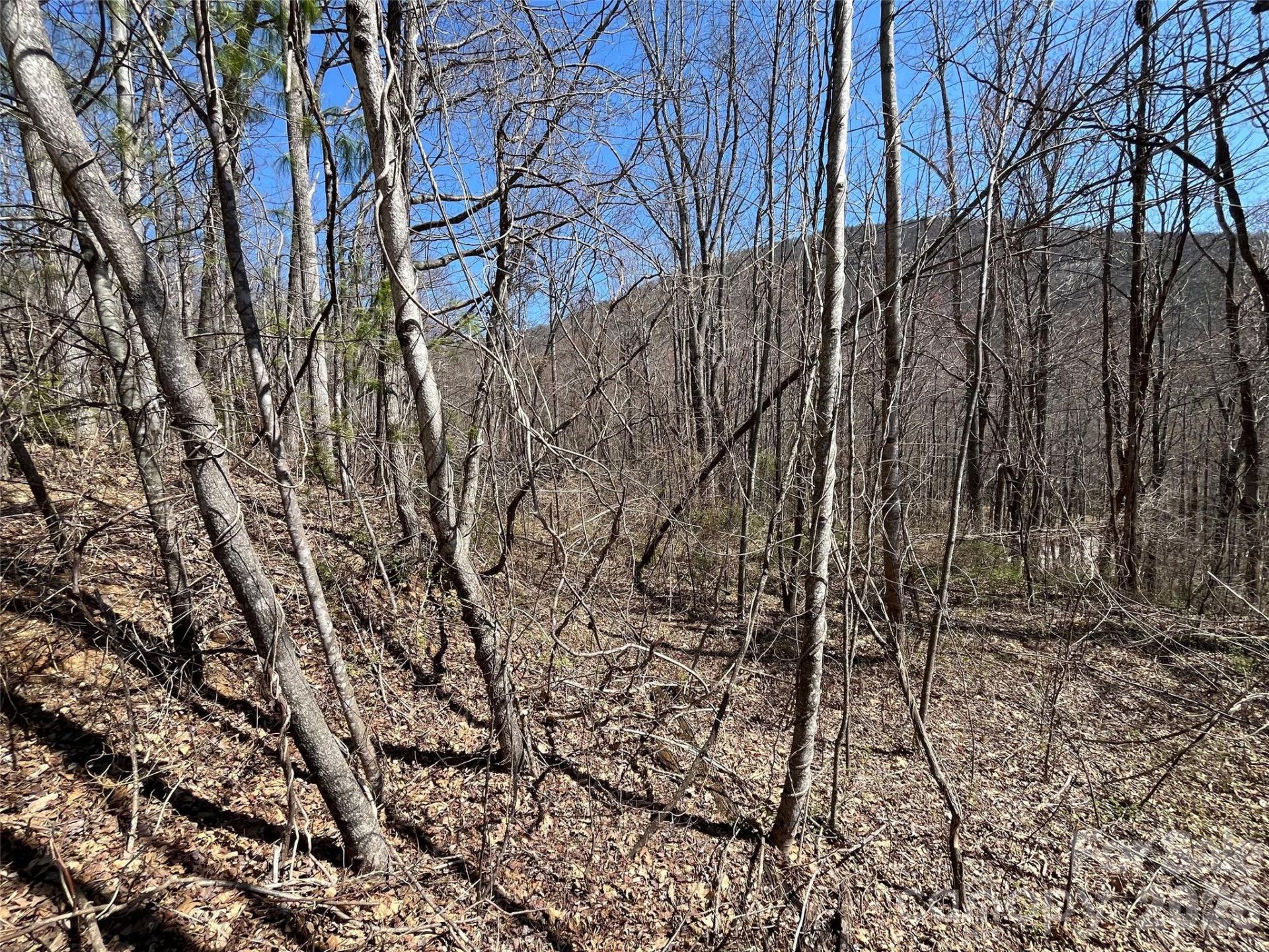 182 Old Mountain Pass - Photo 4