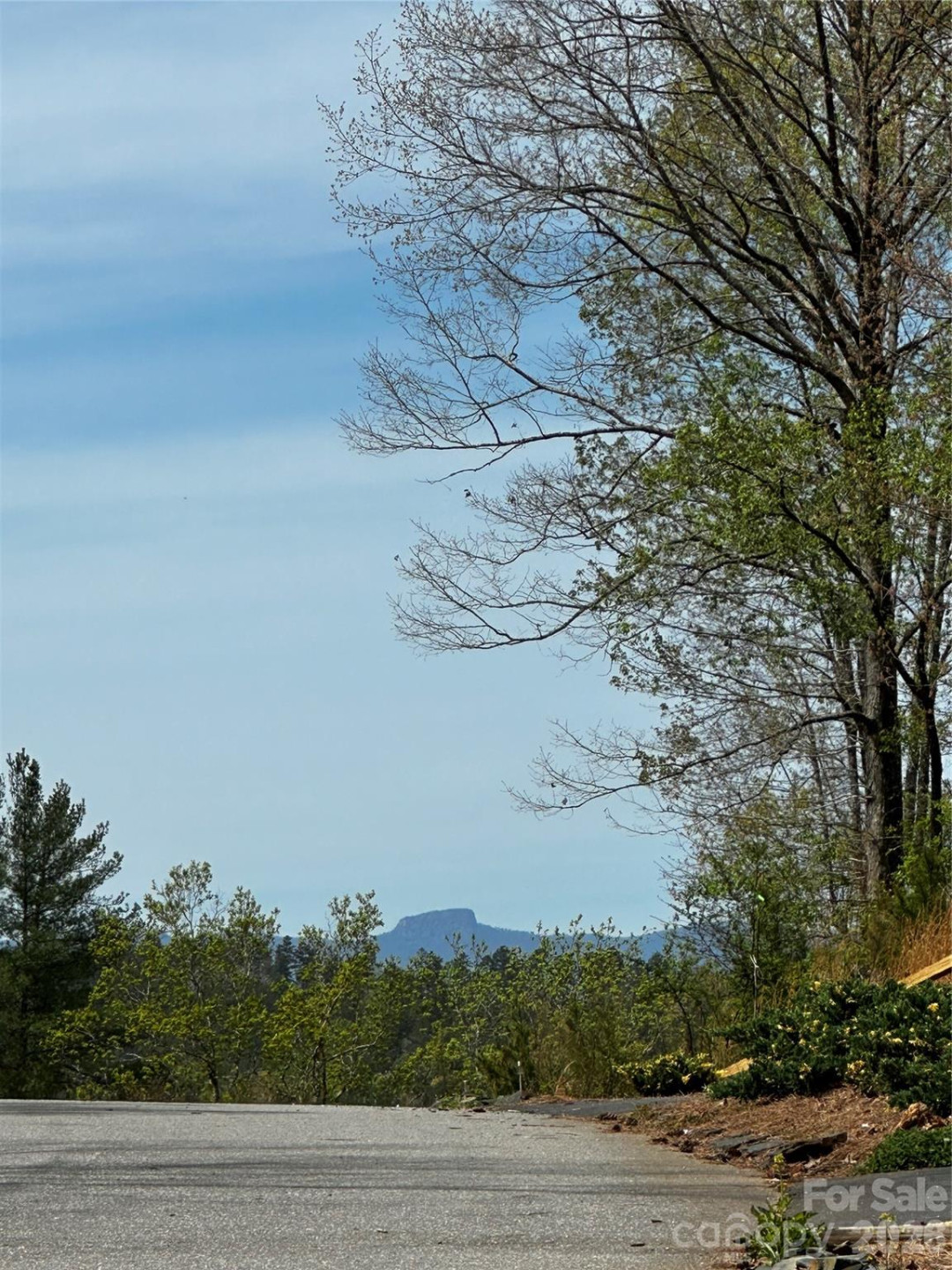 3202 Bear Paw Avenue #34 - Photo 24