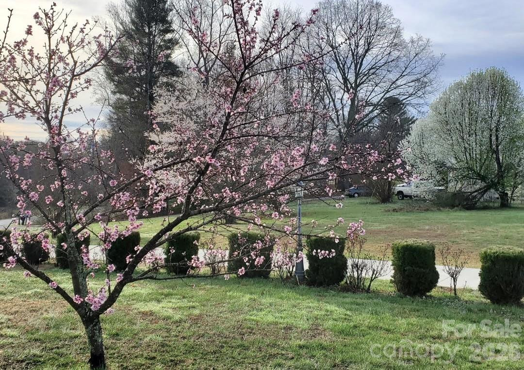 476 Jackson Loop Road - Photo 33