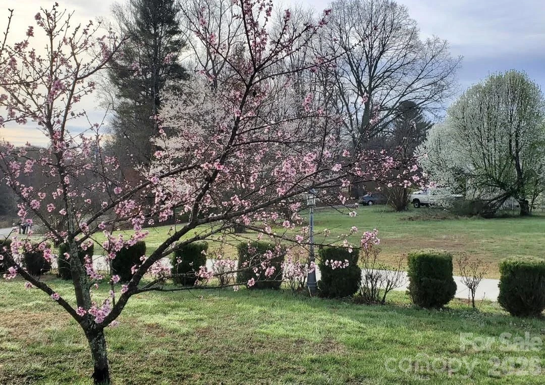 476 Jackson Loop Road - Photo 30