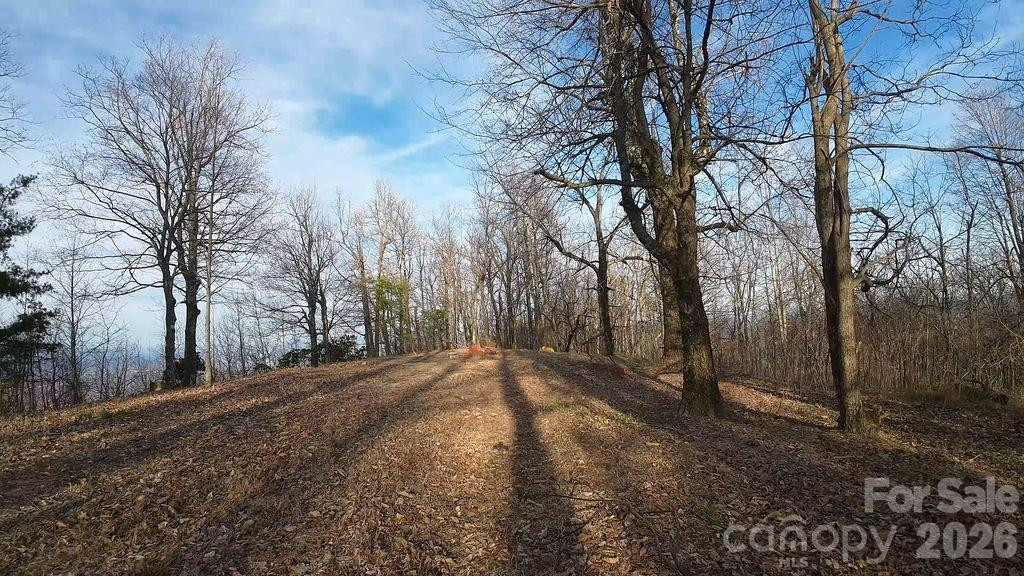 7400 Burkemont Road - Photo 4