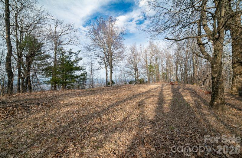 7400 Burkemont Road - Photo 5