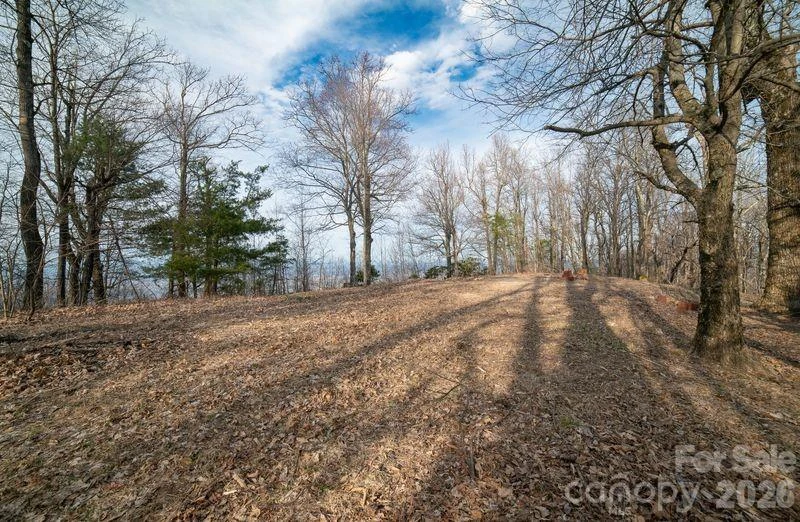 7400 Burkemont Road - Photo 5