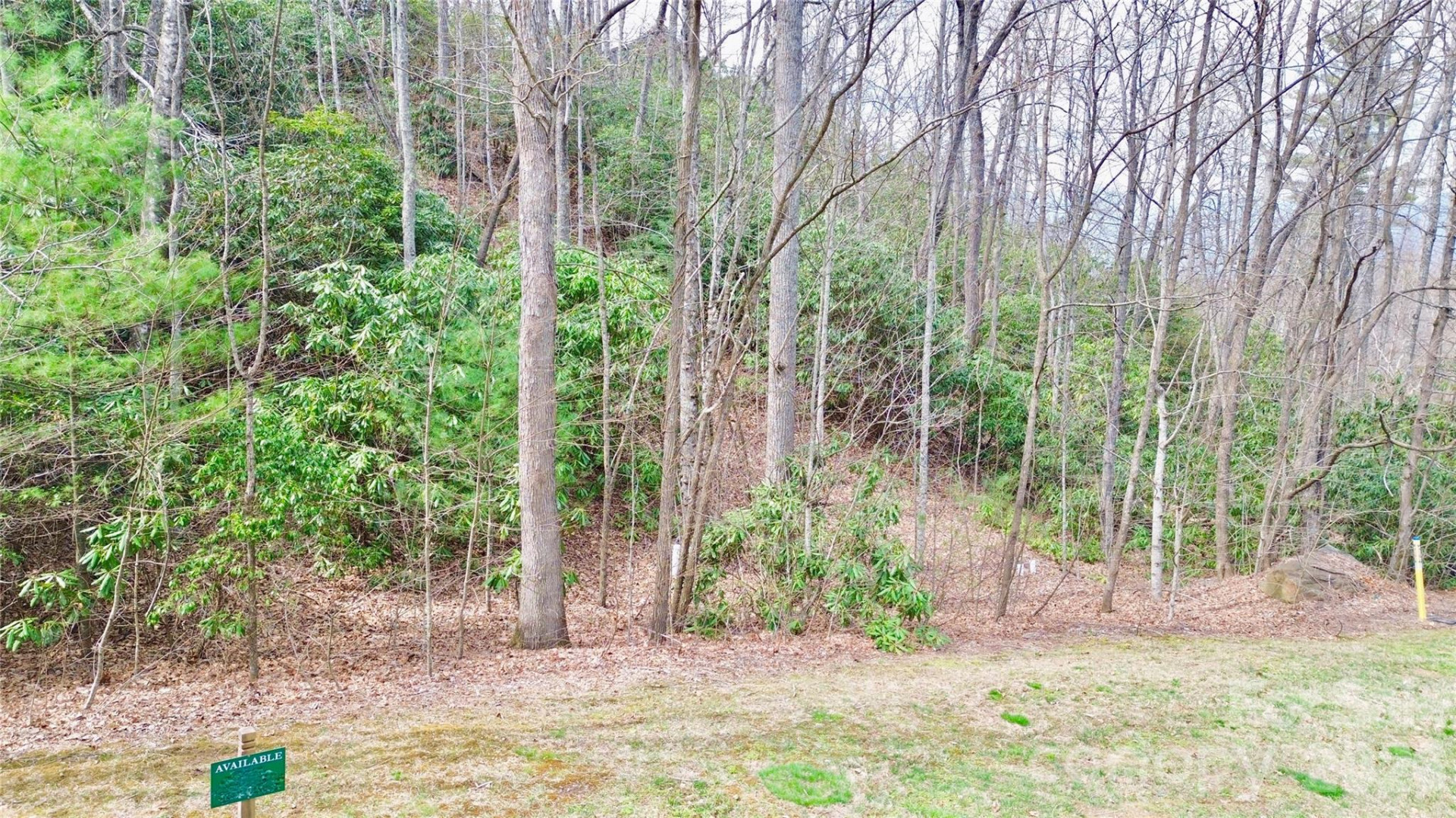 21 Settings Boulevard #40 - Photo 4