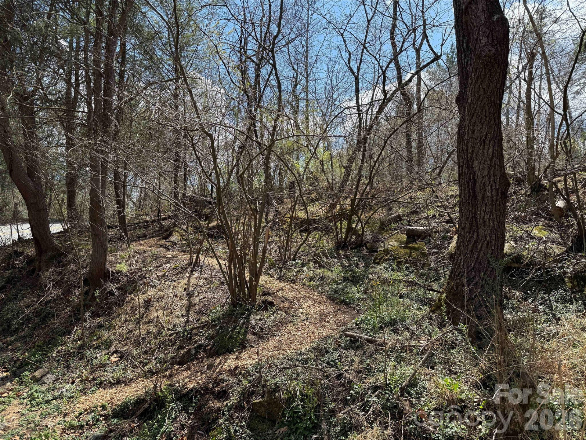 4 Zachary Ridge Road - Photo 47