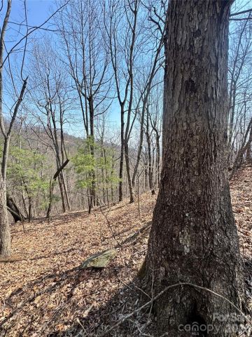 0000 Pinnacle Parkway, Union Mills, NC, 28167