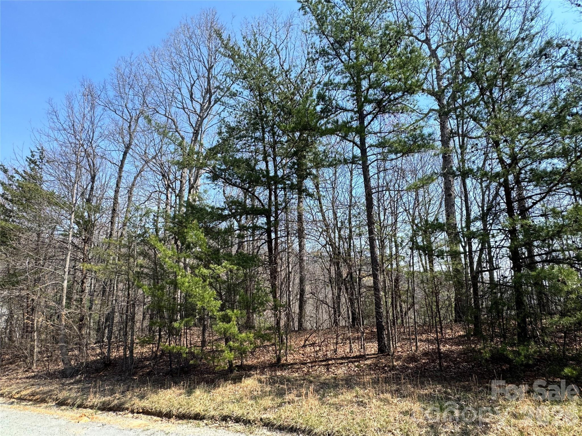 0000 Pinnacle Parkway - Photo 2