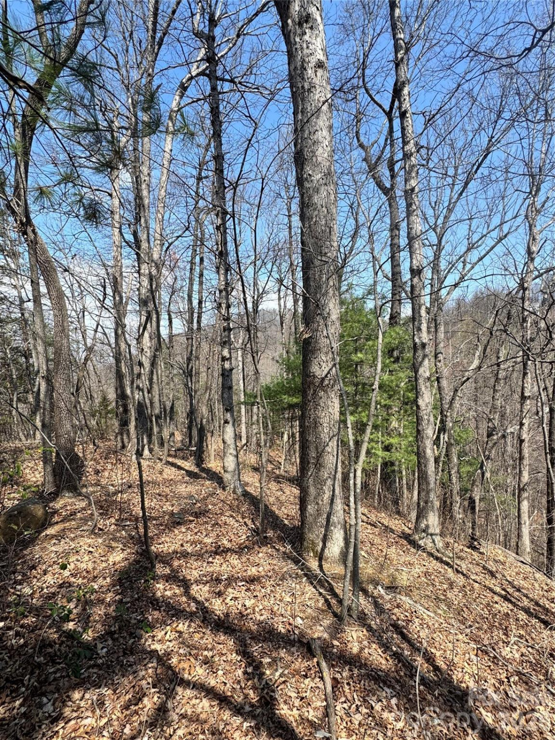 0000 Pinnacle Parkway - Photo 3