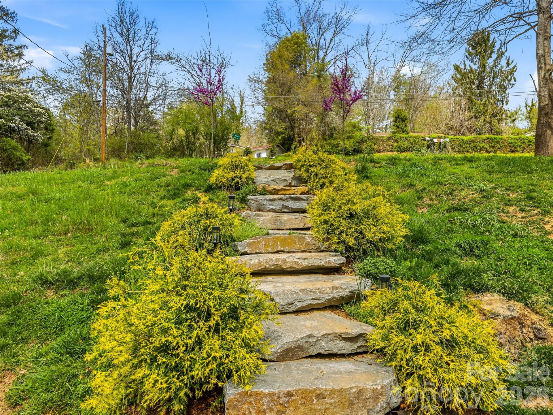 33 Kilpatrick Street - Photo 39