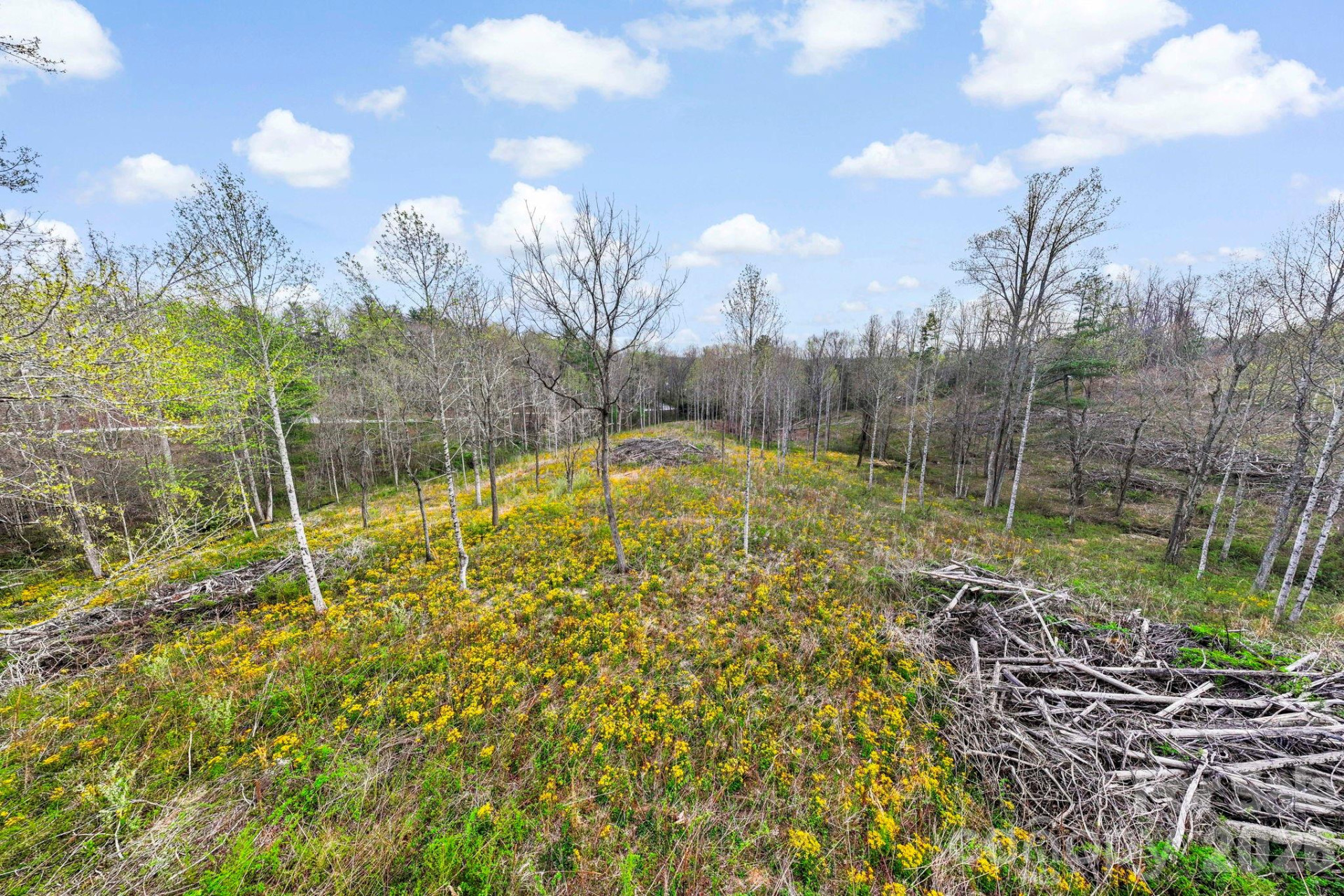 110 Laurel Acres Lane - Photo 7