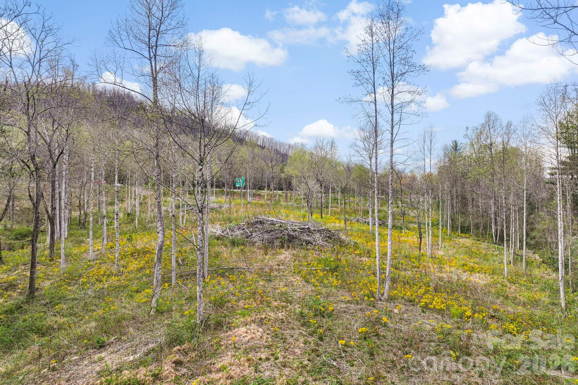 110 Laurel Acres Lane - Photo 8