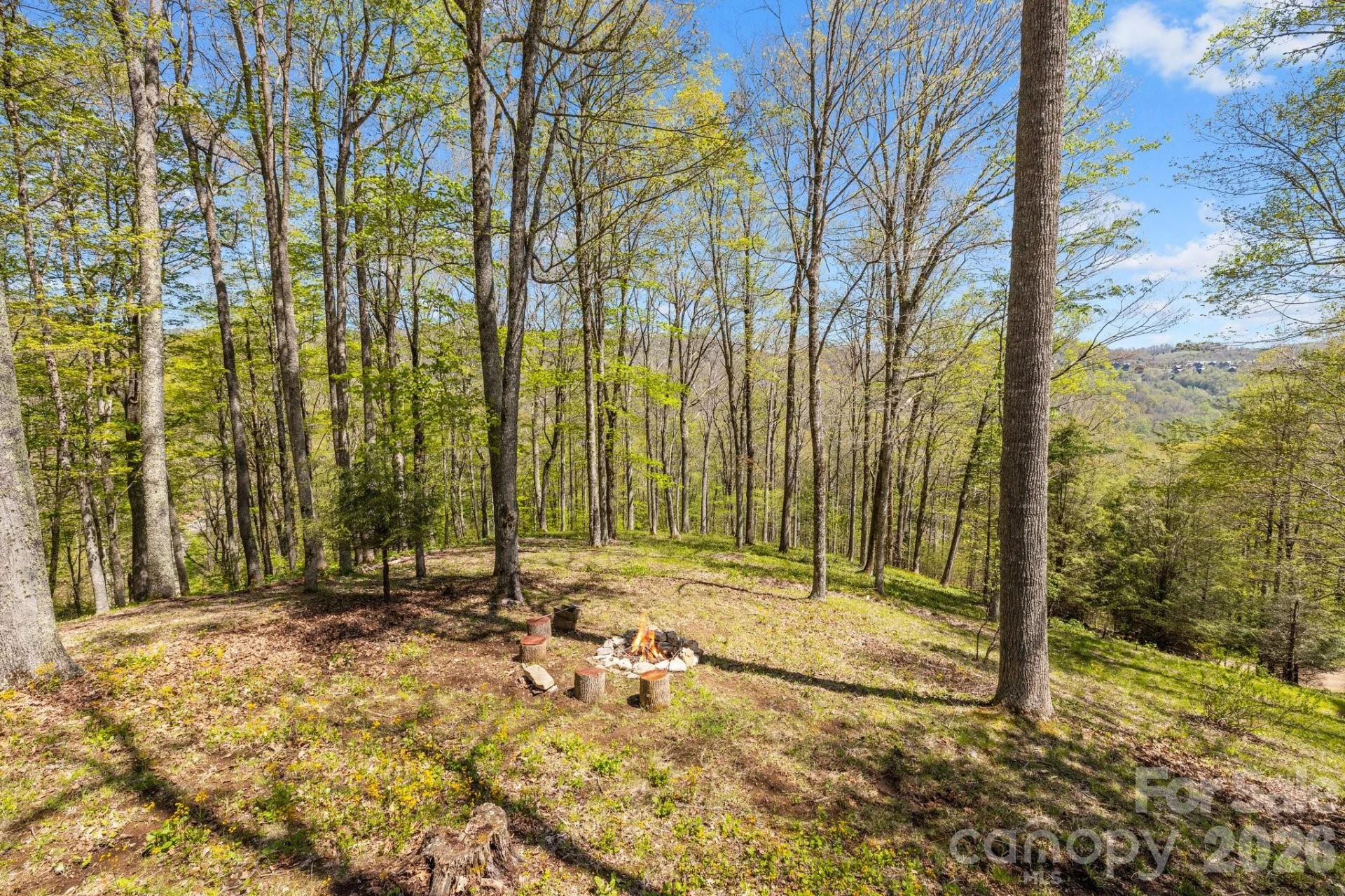 868 English Ridge Drive - Photo 3