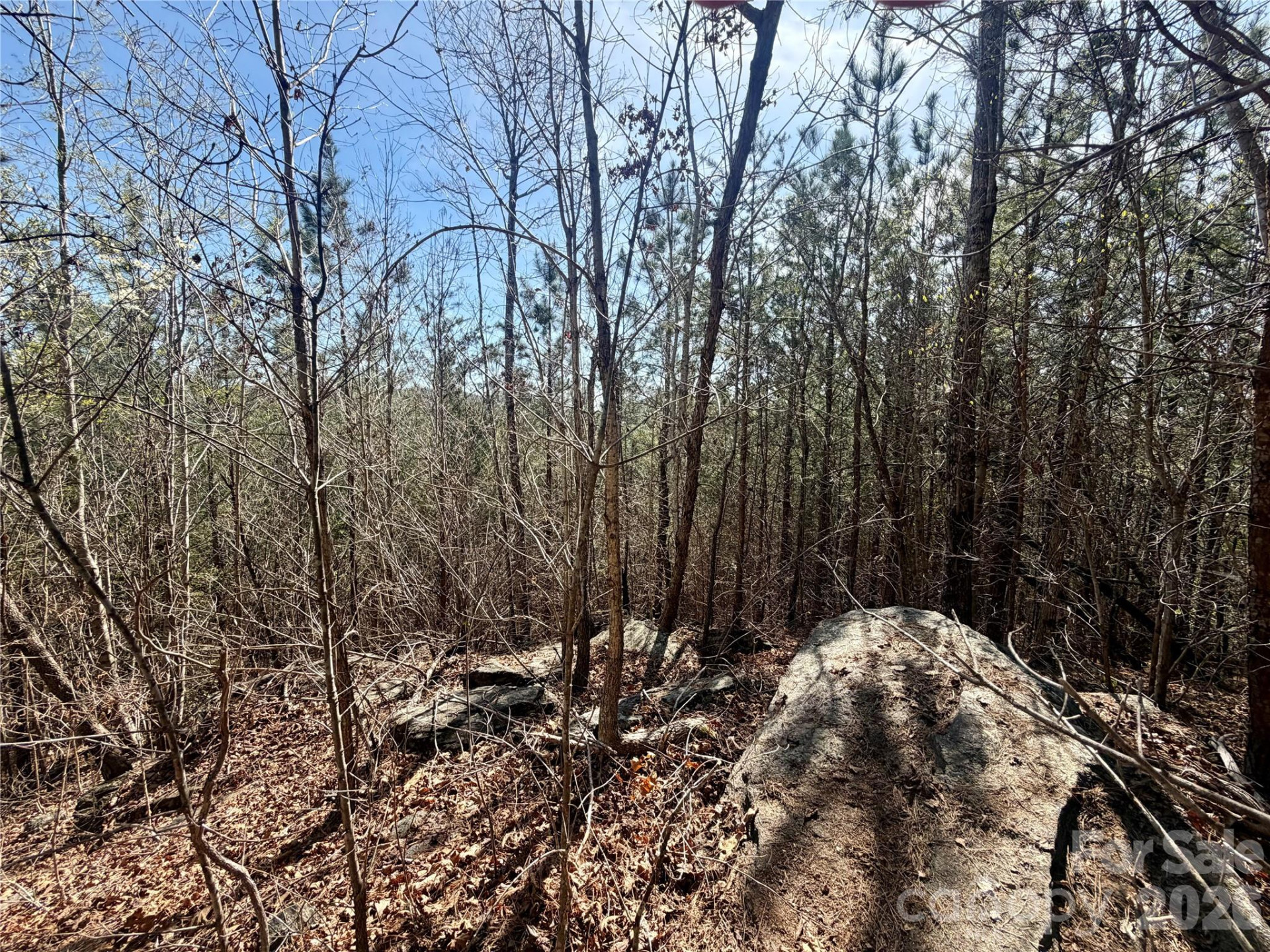 00 NC Highway 226 Highway - Photo 2