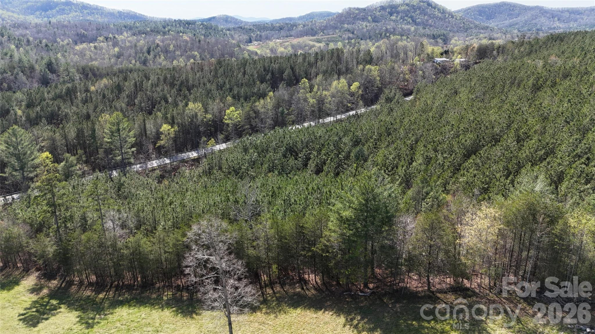 00 NC Highway 226 Highway - Photo 12