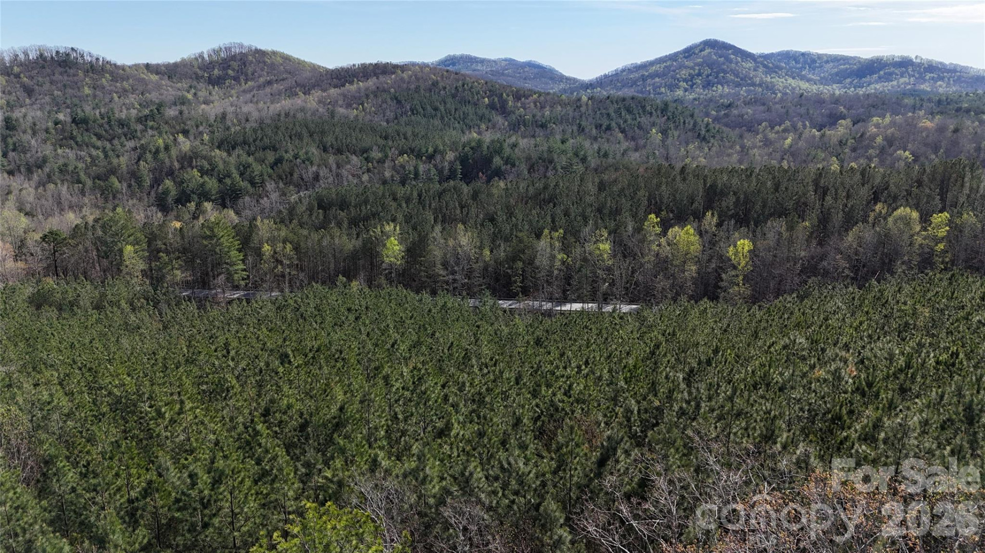 00 NC Highway 226 Highway - Photo 14