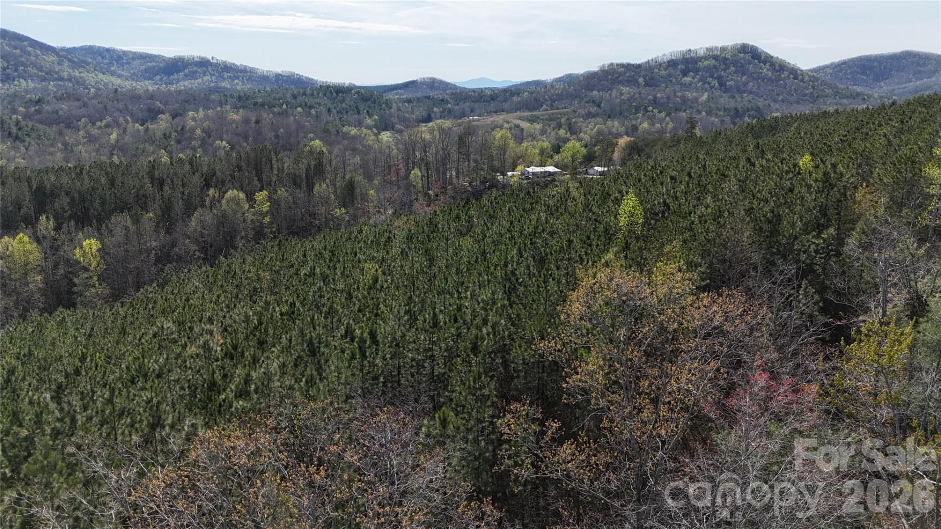 00 NC Highway 226 Highway - Photo 15