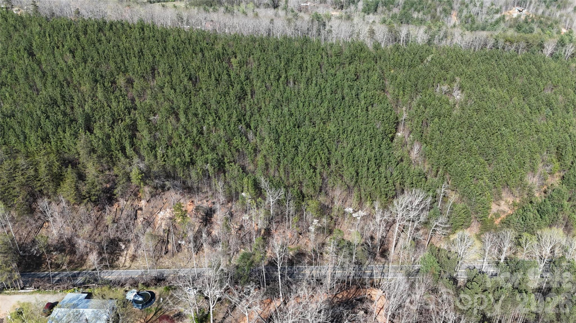 00 NC Highway 226 Highway - Photo 17