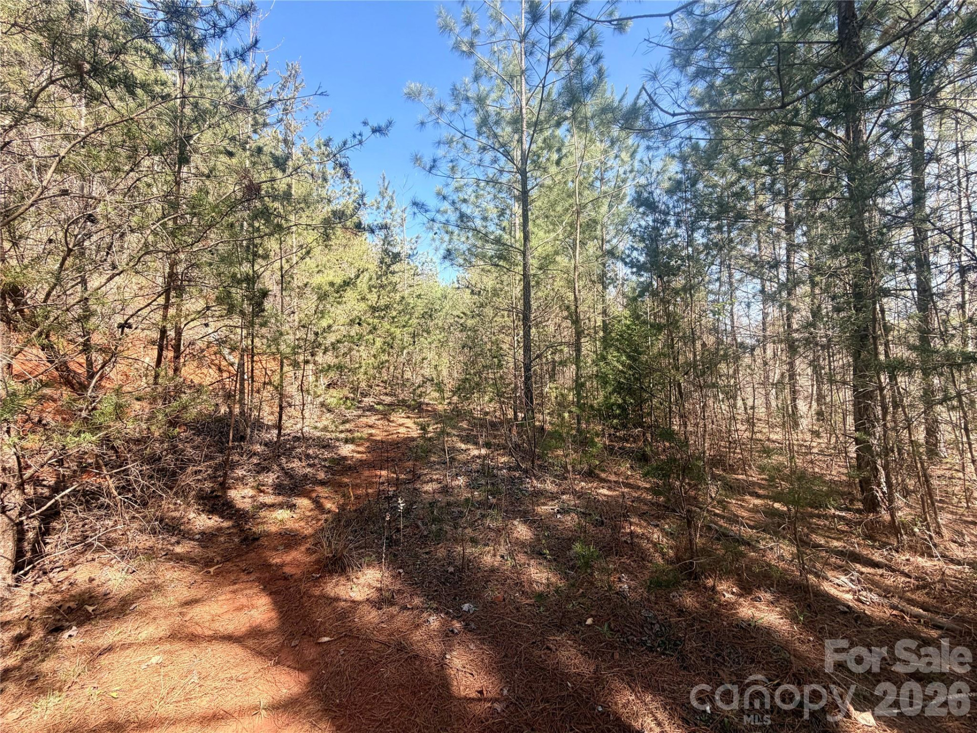 00 NC Highway 226 Highway - Photo 5