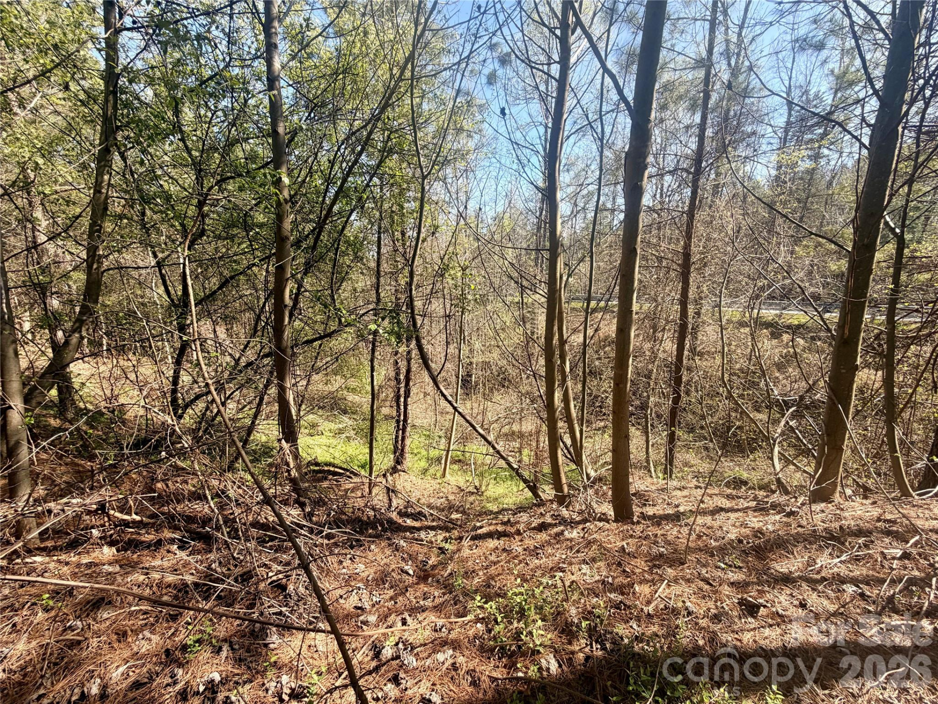 00 NC Highway 226 Highway - Photo 6