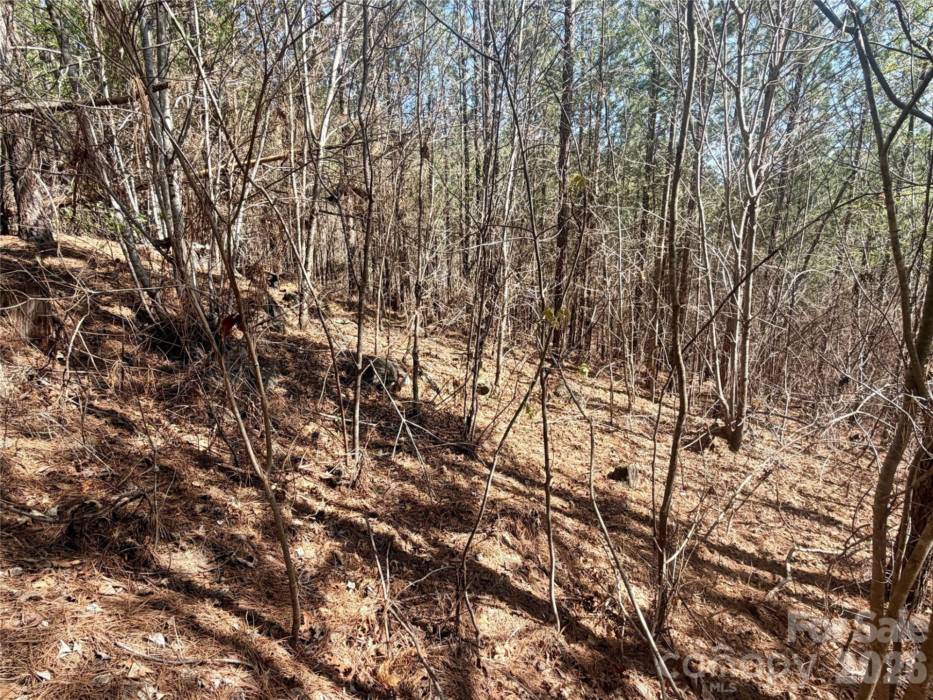 00 NC Highway 226 Highway - Photo 7