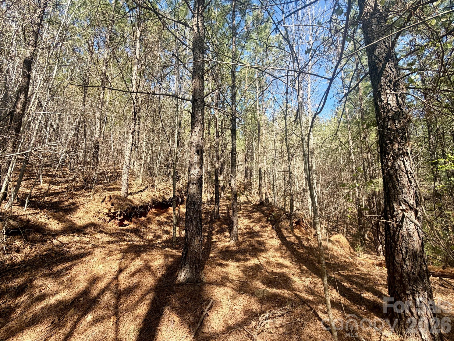 00 NC Highway 226 Highway - Photo 8