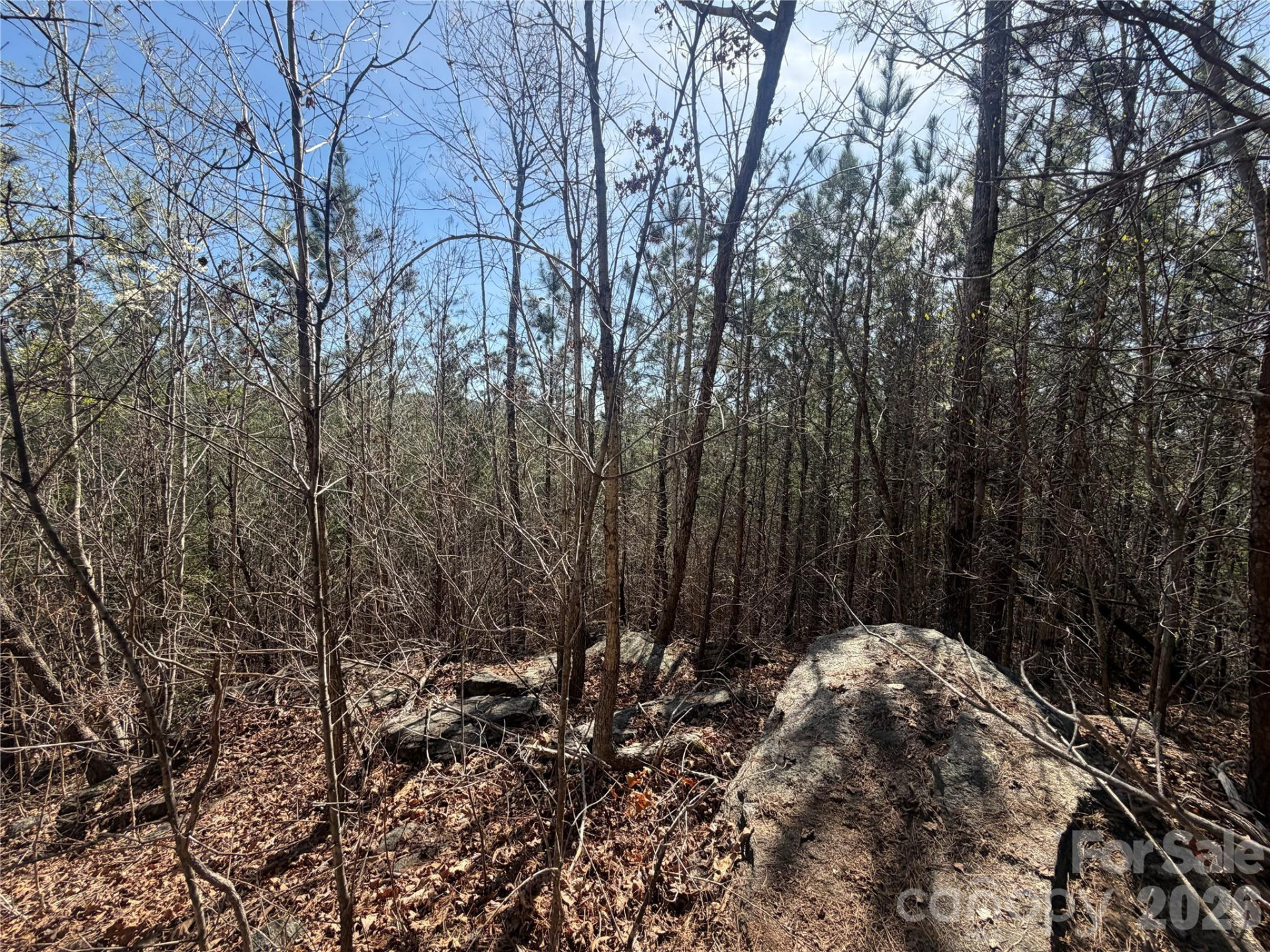 00 NC Highway 226 Highway - Photo 9