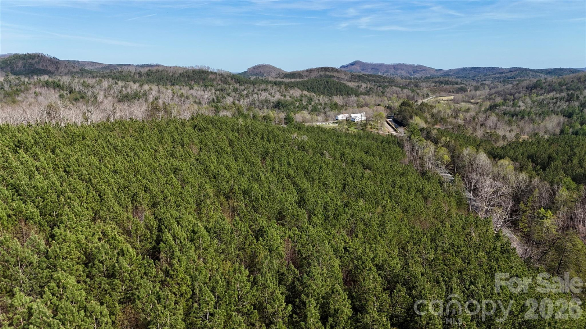 00 NC Highway 226 Highway - Photo 10