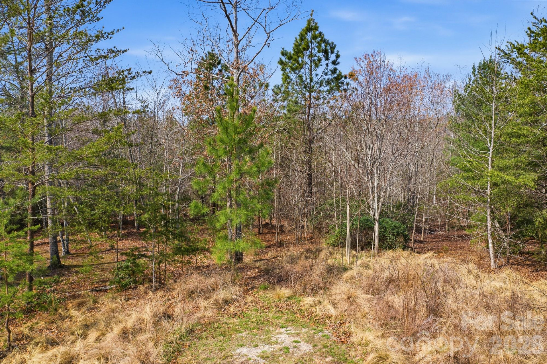 184 Ridge Point Road - Photo 6