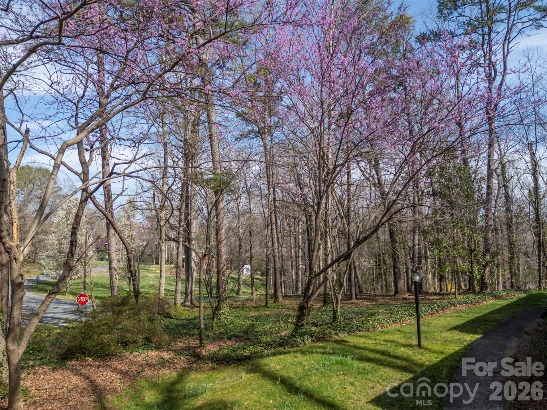 277 Forest Hills Circle - Photo 38