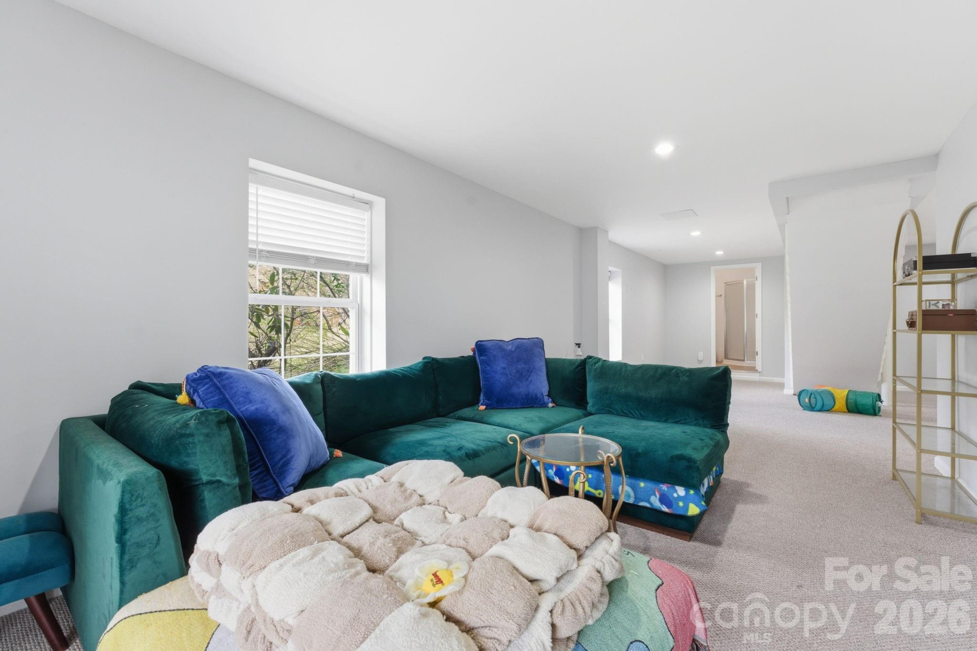 81 Bullfrog Cove Road - Photo 23