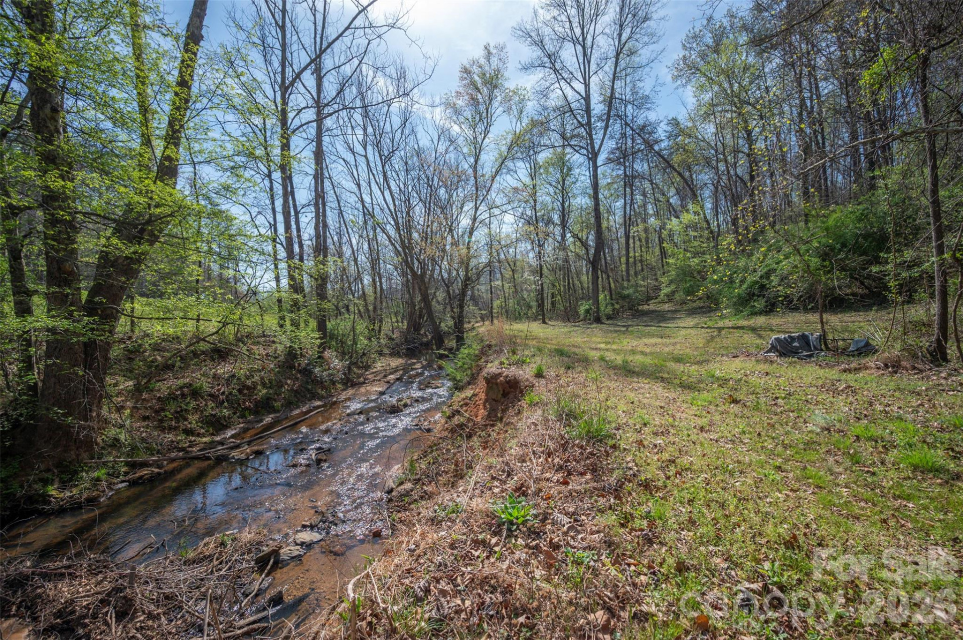 243 Buffalo Creek Road - Photo 3