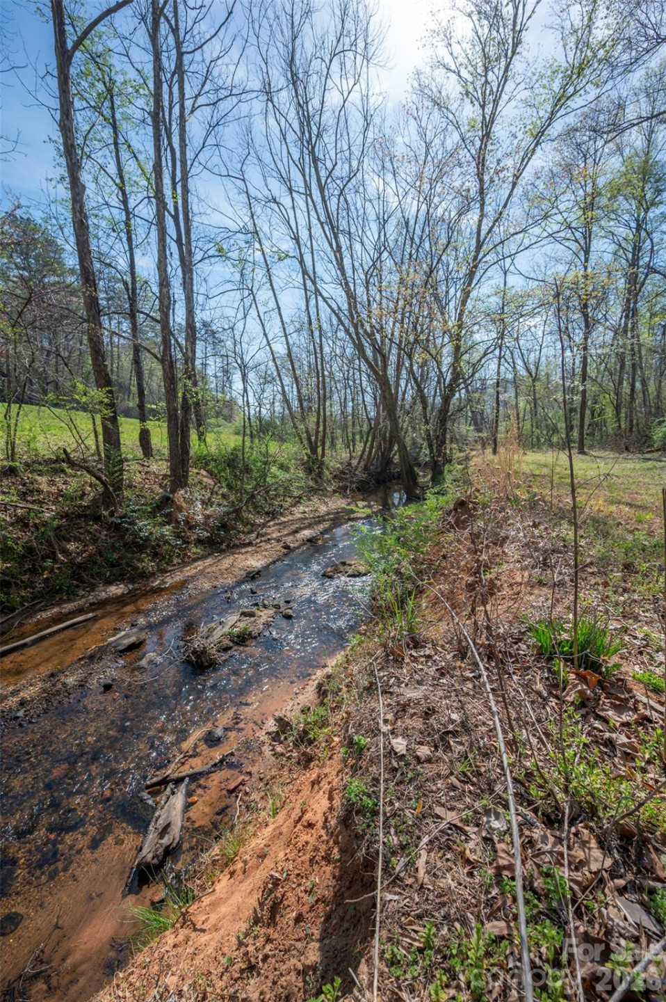 243 Buffalo Creek Road - Photo 4