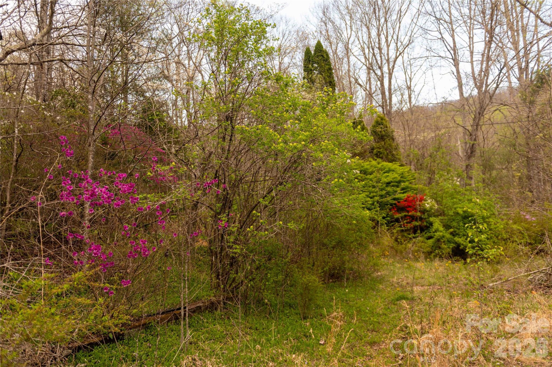 99 Banjo Branch Road - Photo 13