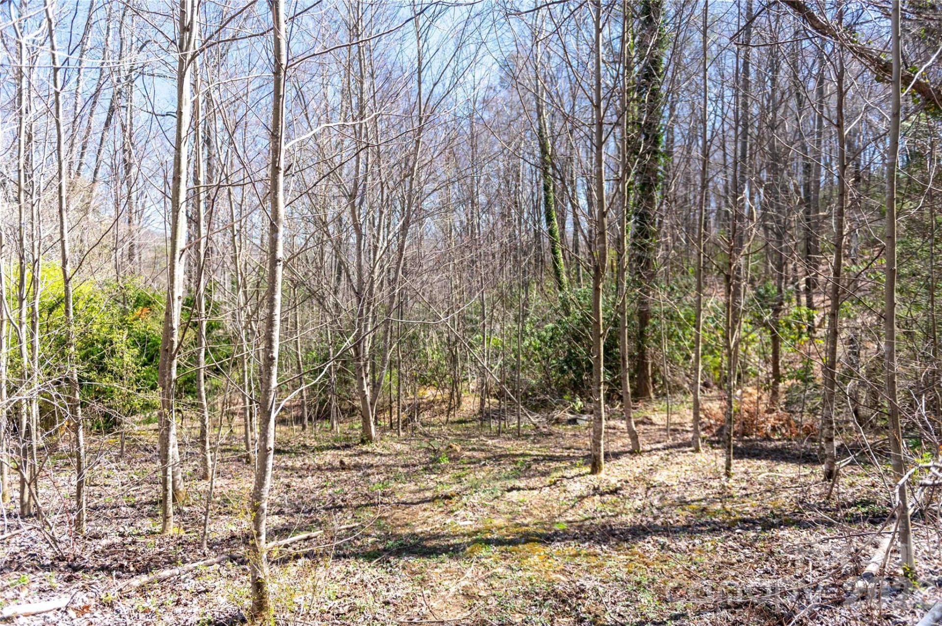 99 Banjo Branch Road - Photo 16