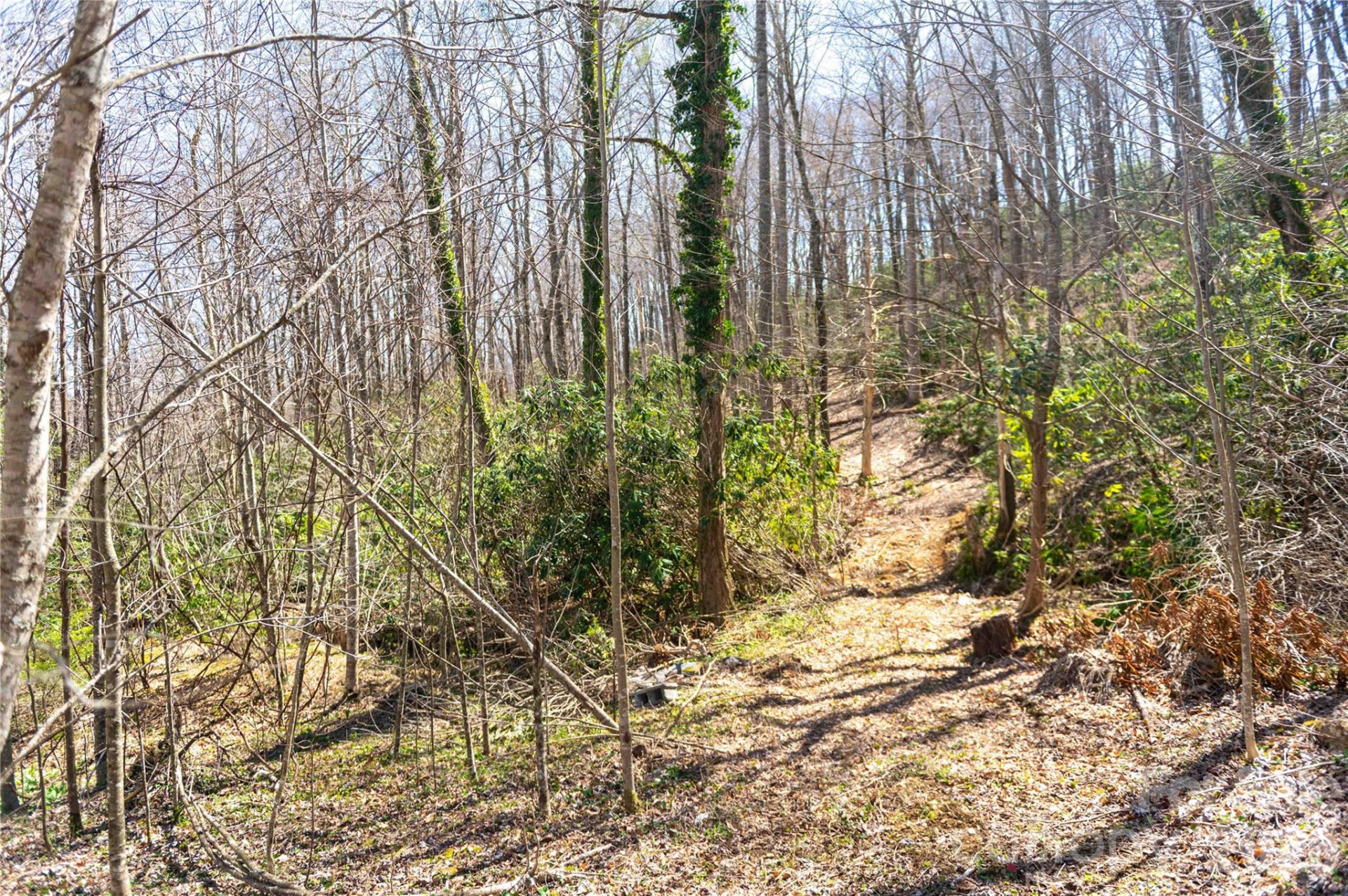 99 Banjo Branch Road - Photo 17