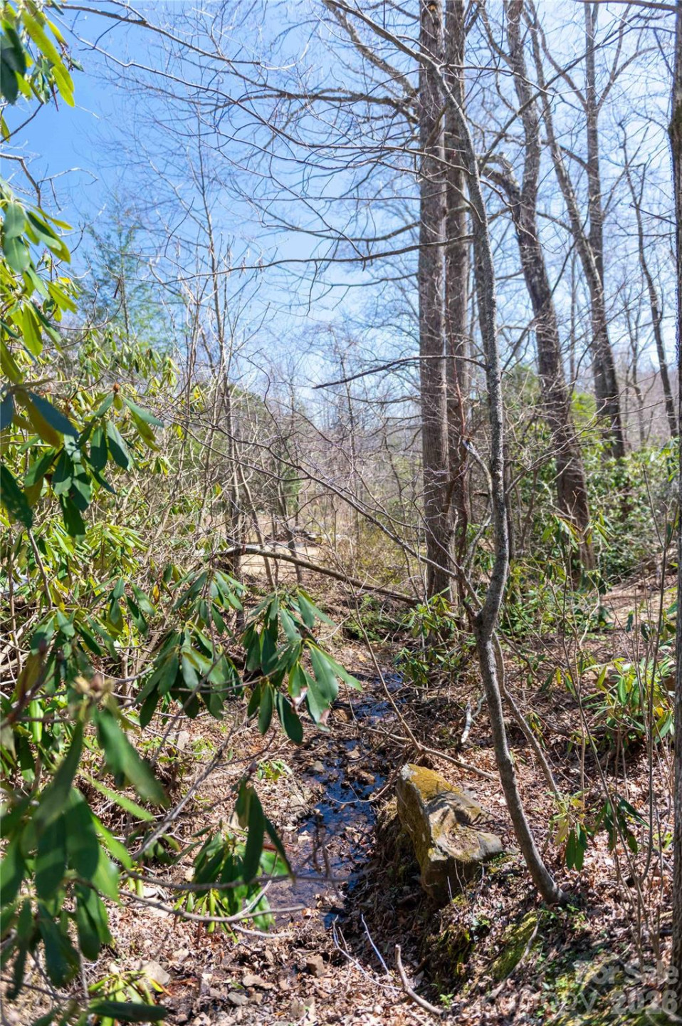 99 Banjo Branch Road - Photo 20