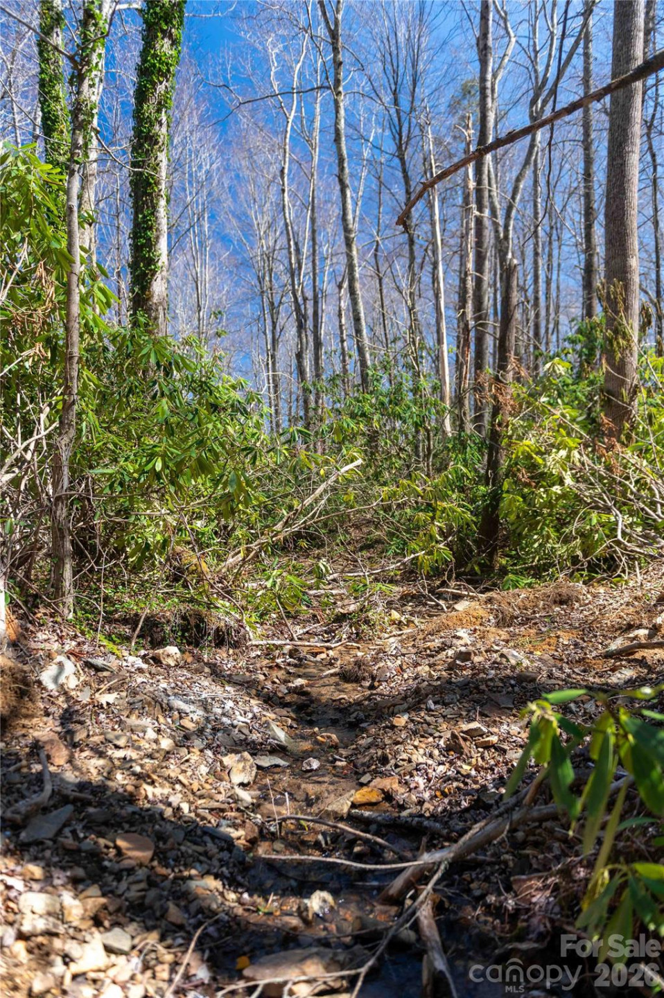 99 Banjo Branch Road - Photo 21