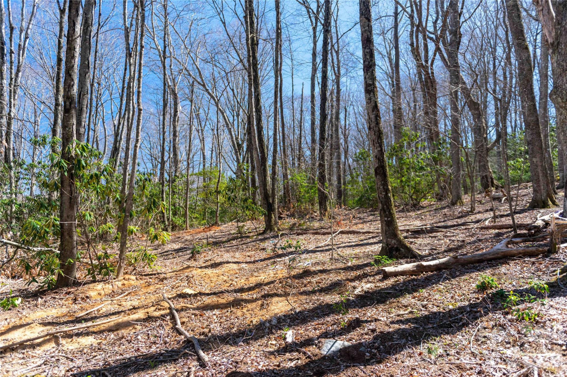 99 Banjo Branch Road - Photo 23