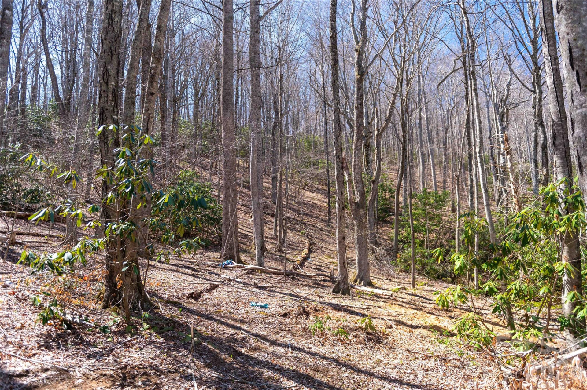 99 Banjo Branch Road - Photo 24